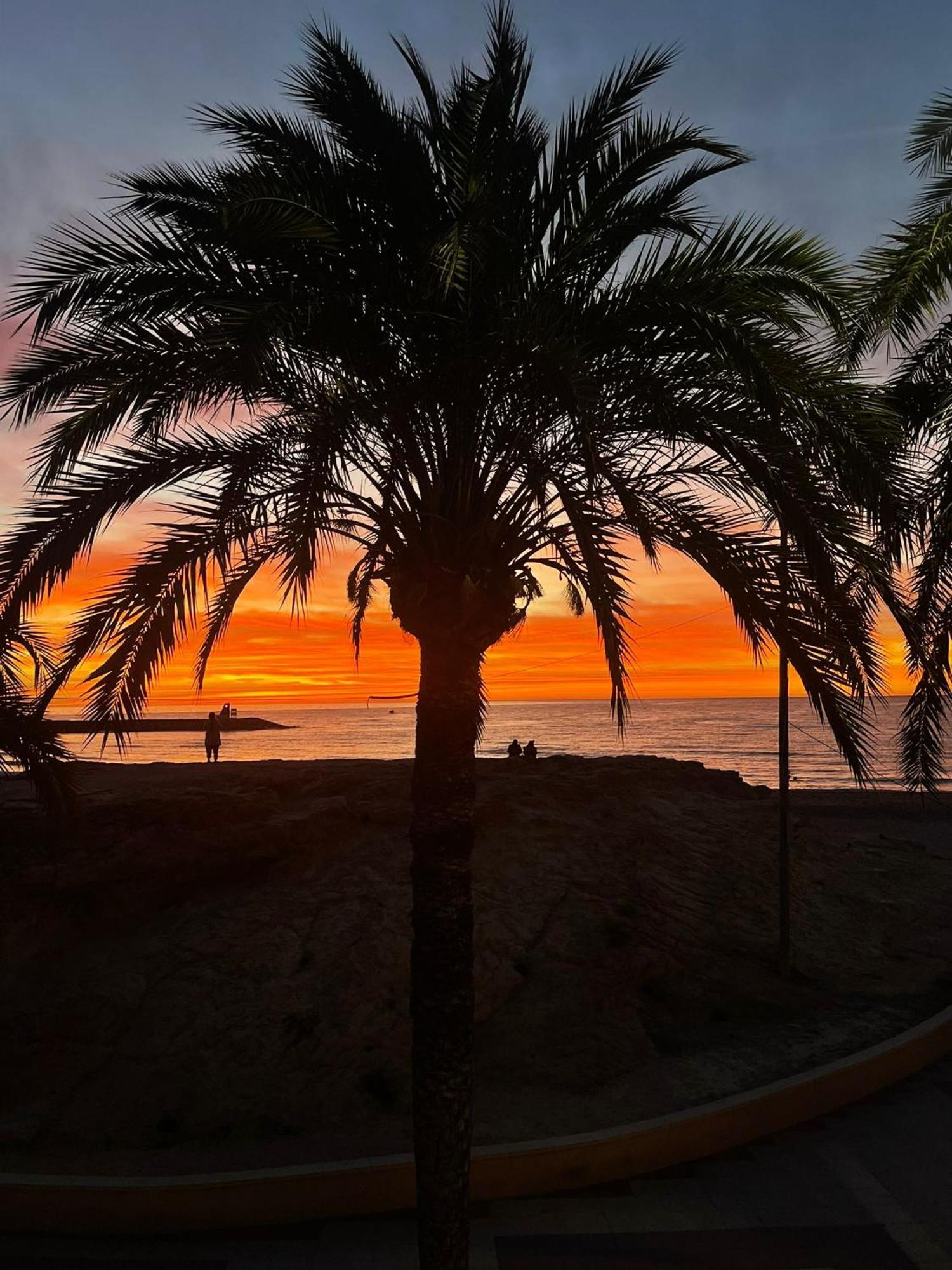 Modern Apartment Directly On The Beach With Wifi And Air Conditioning El Campello Luaran gambar